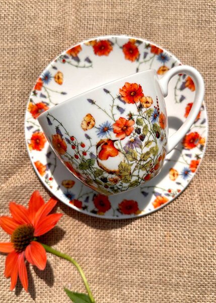 Porcelánový šálek s podšálkem Wild Birds 280 ml sada 2ks