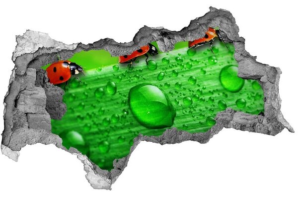 Díra 3D fototapeta Berušky na trávě nd-b-79213715