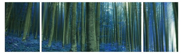 Obraz - Modrý les (170x50 cm)