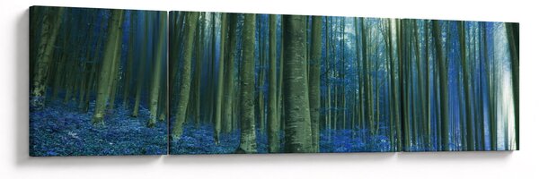 Obraz - Modrý les (170x50 cm)