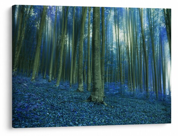 Obraz - Modrý les (70x50 cm)