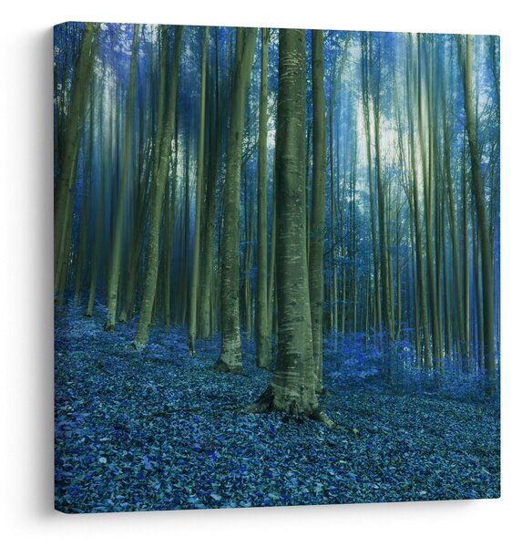 Obraz - Modrý les (30x30 cm)