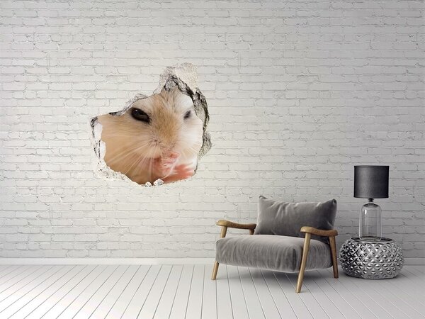 Díra 3D foto tapeta nálepka Křeček nd-p-91045574