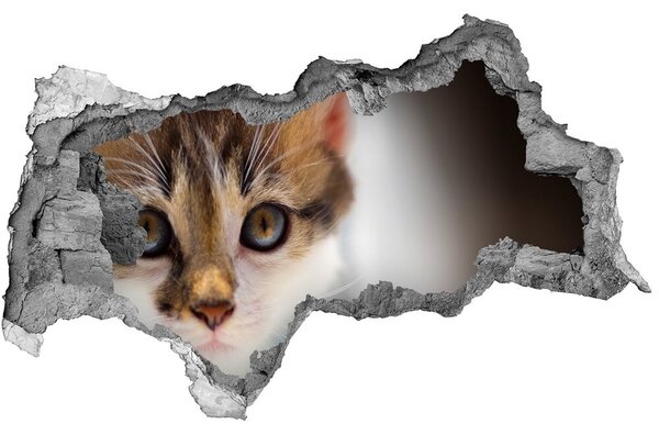 Díra 3D fototapeta nástěnná Nálepka malá kočka nd-b-162385240