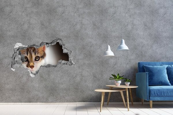 Díra 3D fototapeta nástěnná Nálepka malá kočka nd-b-162385240