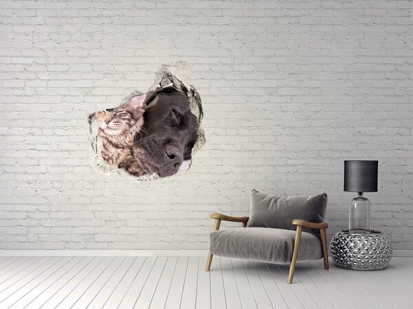 Díra 3D foto tapeta nálepka Sladký okamžik přátelství nd-p-91792125