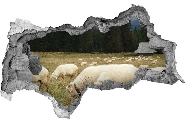 Díra 3D fototapeta nálepka Pasící se ovce nd-b-197671747