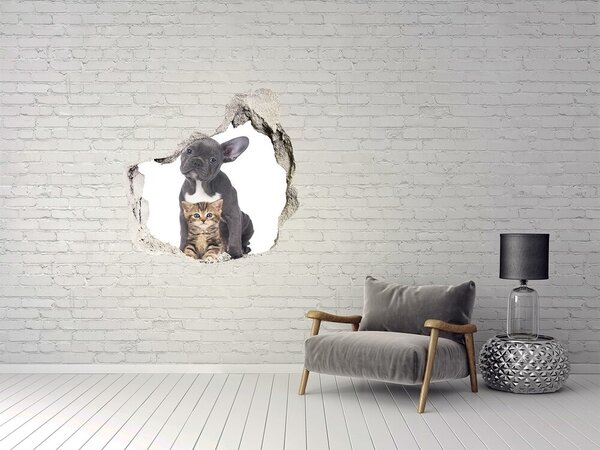 Díra 3D fototapeta na stěnu Pes a kočka nd-p-80558737