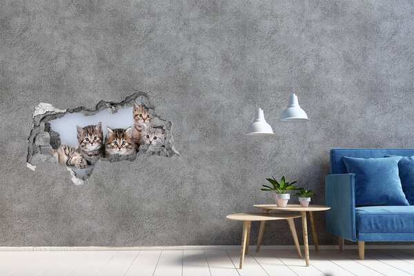 Díra 3D fototapeta nálepka Pět koček nd-b-75950374