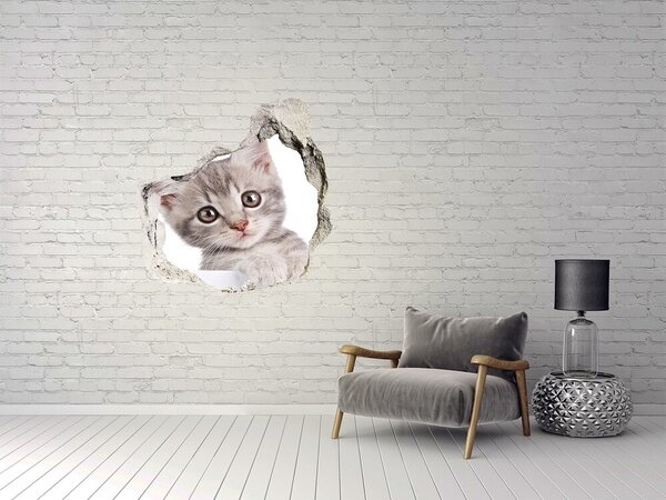 Díra 3D fototapeta na stěnu Šedá kočka nd-p-80791907