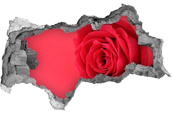 Díra 3D fototapeta na stěnu Červená růže nd-b-77656963