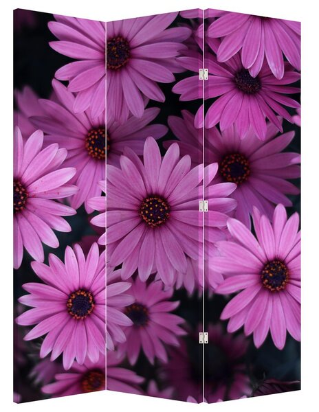 Paraván - Růžové květy (126x170 cm)