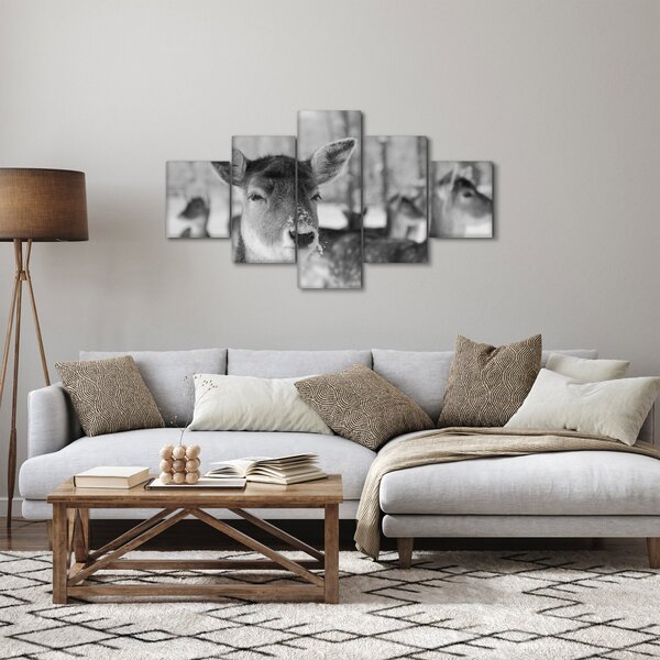 Obraz - Koloušci, černobílá (125x70 cm)