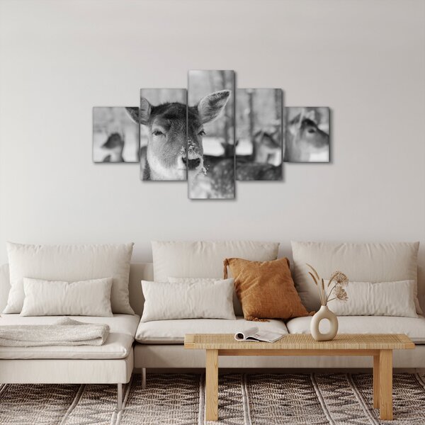 Obraz - Koloušci, černobílá (125x70 cm)