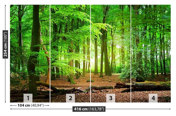 Fototapeta Jarní les 104x70