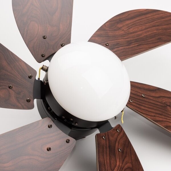 ZEVENTI - Stropní ventilátor FAMARA 1xE14/60W/230V