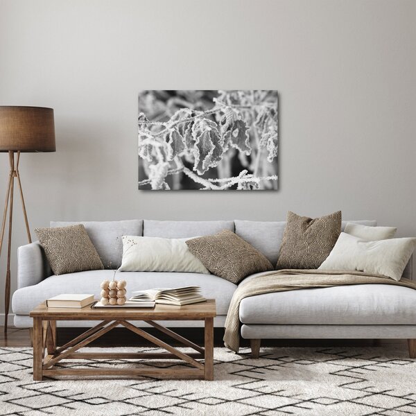 Obraz - Zmrzlé listy, černobílá (70x50 cm)