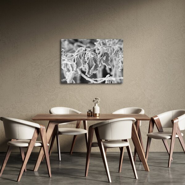 Obraz - Zmrzlé listy, černobílá (70x50 cm)