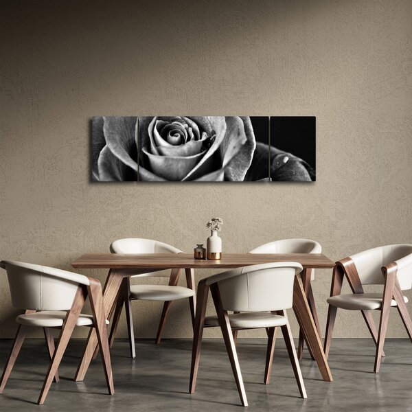 Obraz - Růže, černobílá (170x50 cm)