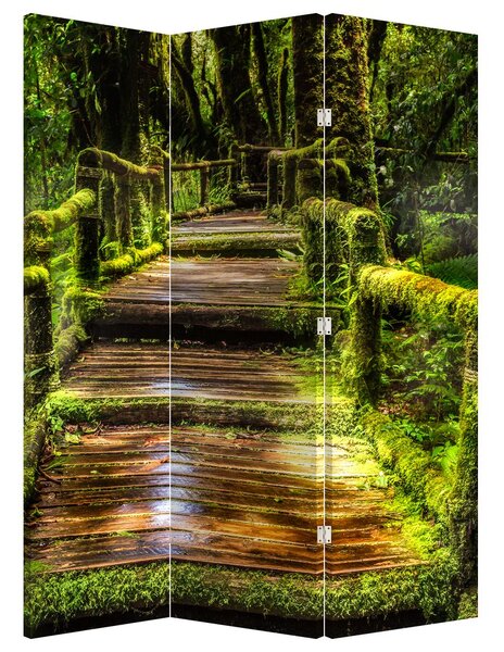 Paraván - Schody v deštném pralese (126x170 cm)
