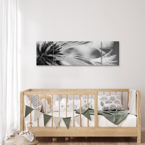 Obraz - Makro, černobílá (170x50 cm)