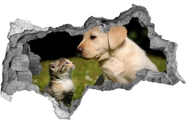 Díra 3D fototapeta nálepka Pes a kočka na louce nd-b-38411802