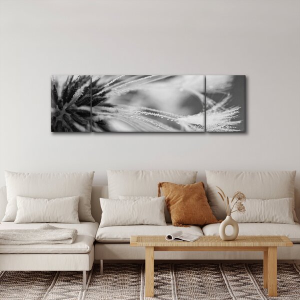 Obraz - Makro, černobílá (170x50 cm)