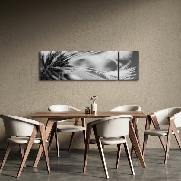 Obraz - Makro, černobílá (170x50 cm)