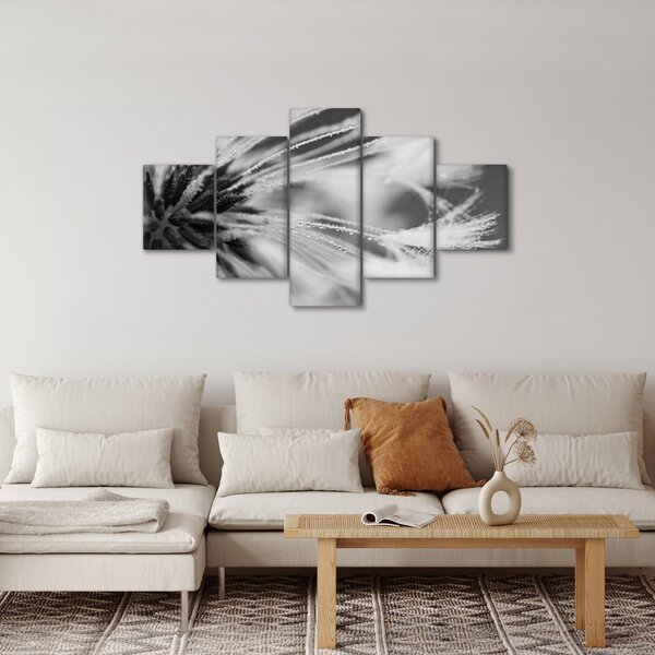 Obraz - Makro, černobílá (125x70 cm)