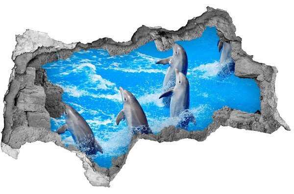 Díra 3D fototapeta na stěnu nálepka Delfíni nd-b-39687572