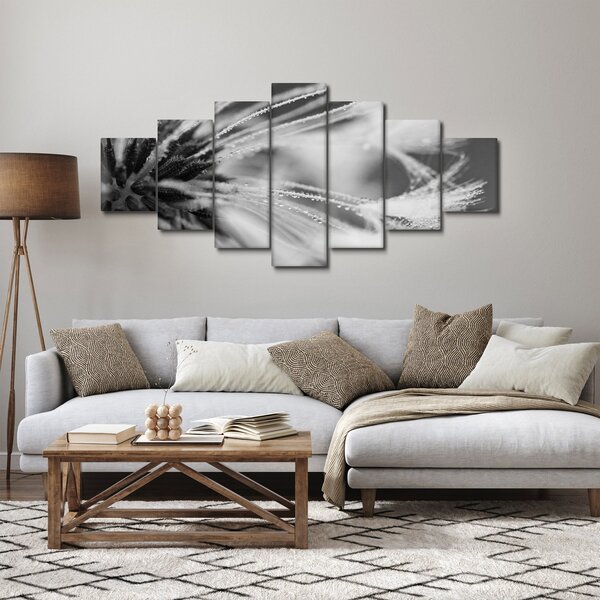 Obraz - Makro, černobílá (210x100 cm)