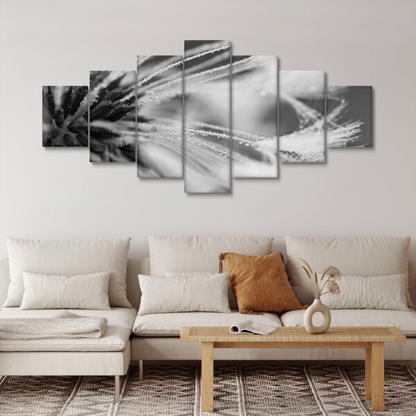 Obraz - Makro, černobílá (210x100 cm)