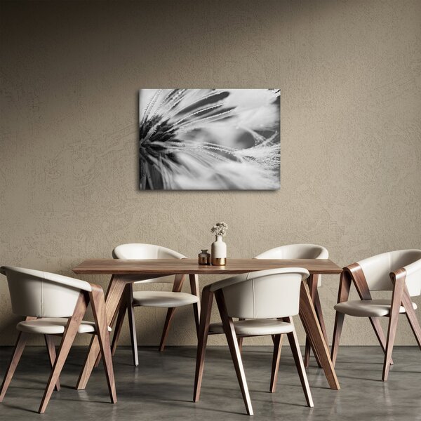 Obraz - Makro, černobílá (70x50 cm)