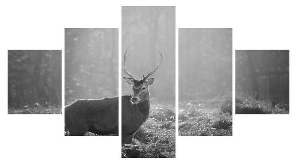 Obraz - Jelen v lese, černobílá (125x70 cm)