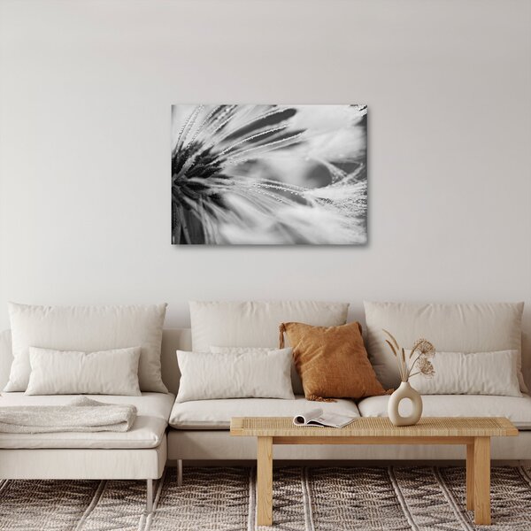 Obraz - Makro, černobílá (70x50 cm)