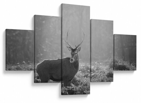Obraz - Jelen v lese, černobílá (125x70 cm)