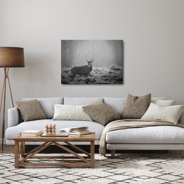 Obraz - Jelen v lese, černobílá (70x50 cm)