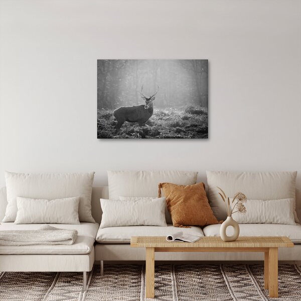 Obraz - Jelen v lese, černobílá (70x50 cm)