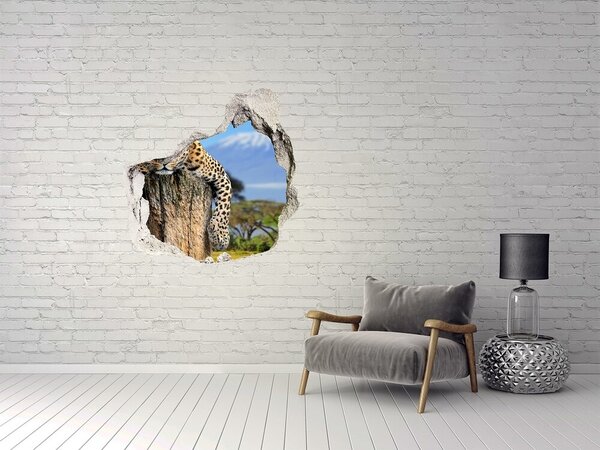 Díra 3D fototapeta na stěnu Lepkavý pohled leoparda nd-p-66888484