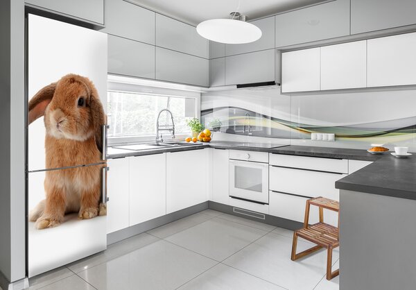 Nálepka fototapeta lednička Králík FridgeStick-70x190-f-65984756