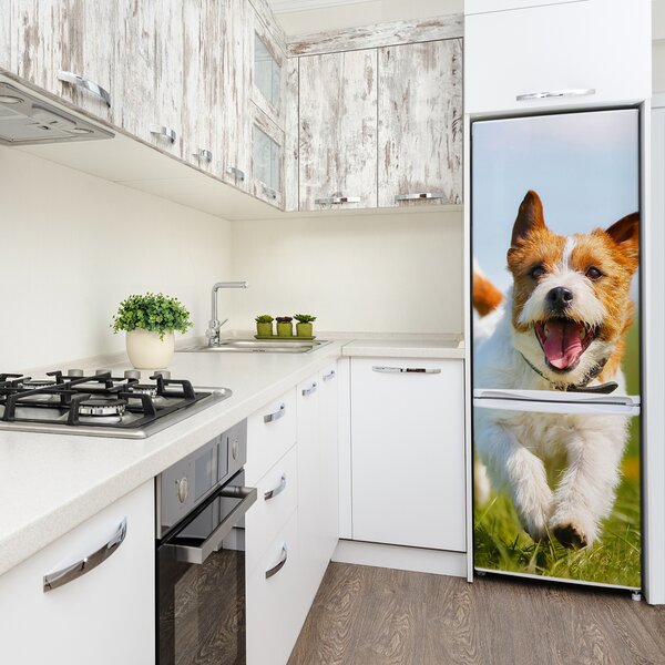 Foto nálepka na ledničku Pes Jack Russell FridgeStick-70x190-f-65993423