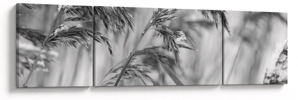 Obraz - Lipnice, černobílá (170x50 cm)