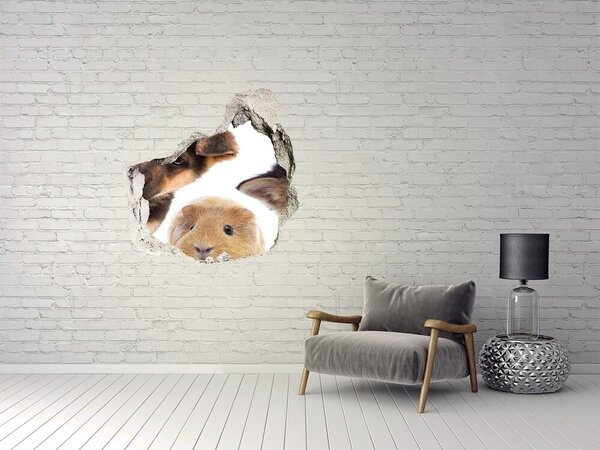 Díra 3D fototapeta nálepka Domácí zvířata nd-p-67306538