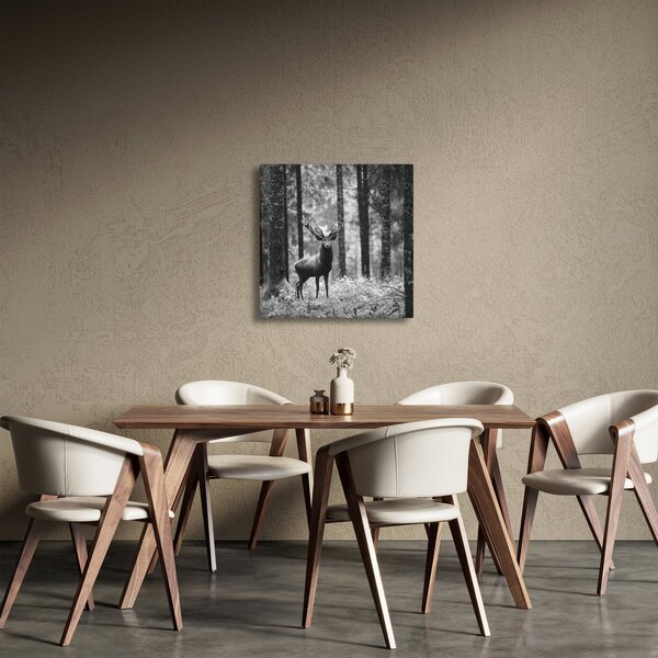 Obraz - Jelen v lese 2, černobílá (30x30 cm)