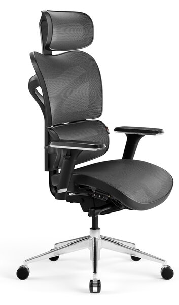 Kancelářská ergonomická židle Diablo V-Commander: černo-šedá