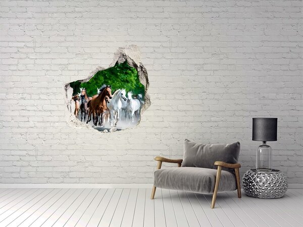 Díra 3D fototapeta nálepka Koně ve cvalu nd-p-67489944