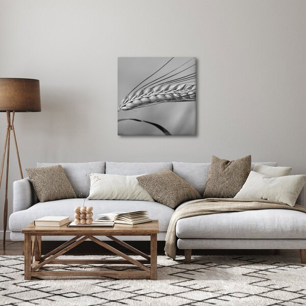 Obraz - Pšenice, černobílá (30x30 cm)