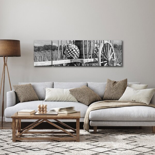 Obraz - Přívěsný vozík, černobílá (170x50 cm)