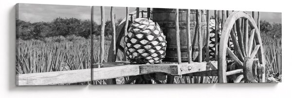 Obraz - Přívěsný vozík, černobílá (170x50 cm)
