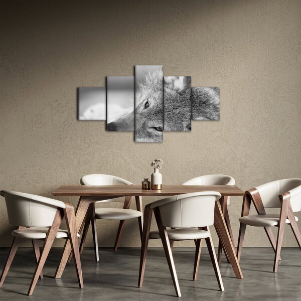 Obraz - Vlk, černobílá (125x70 cm)